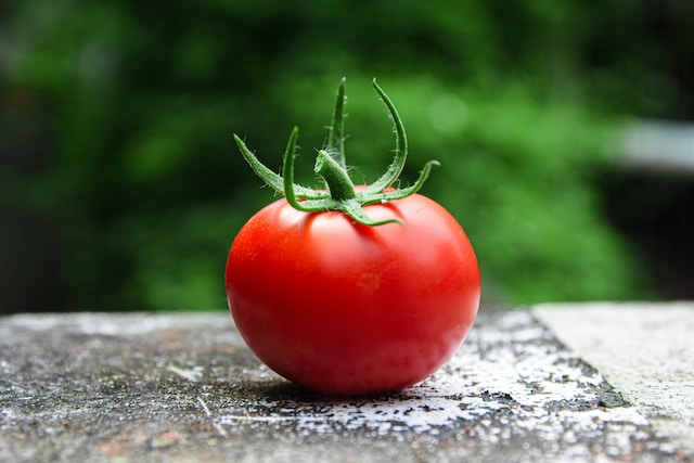 wie-man-tomaten-anbaut